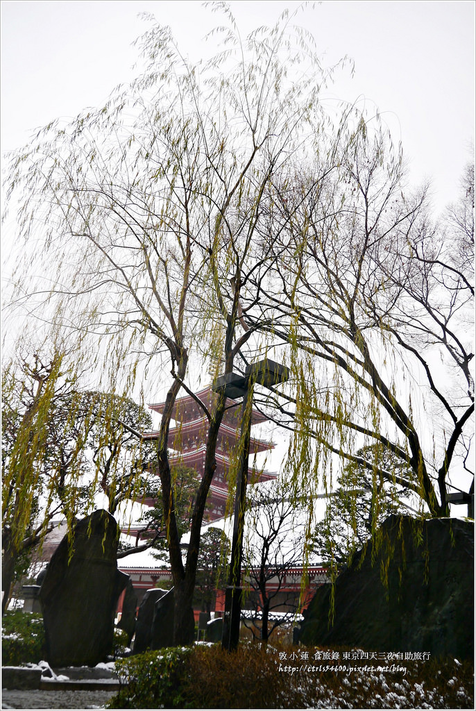 P1270857