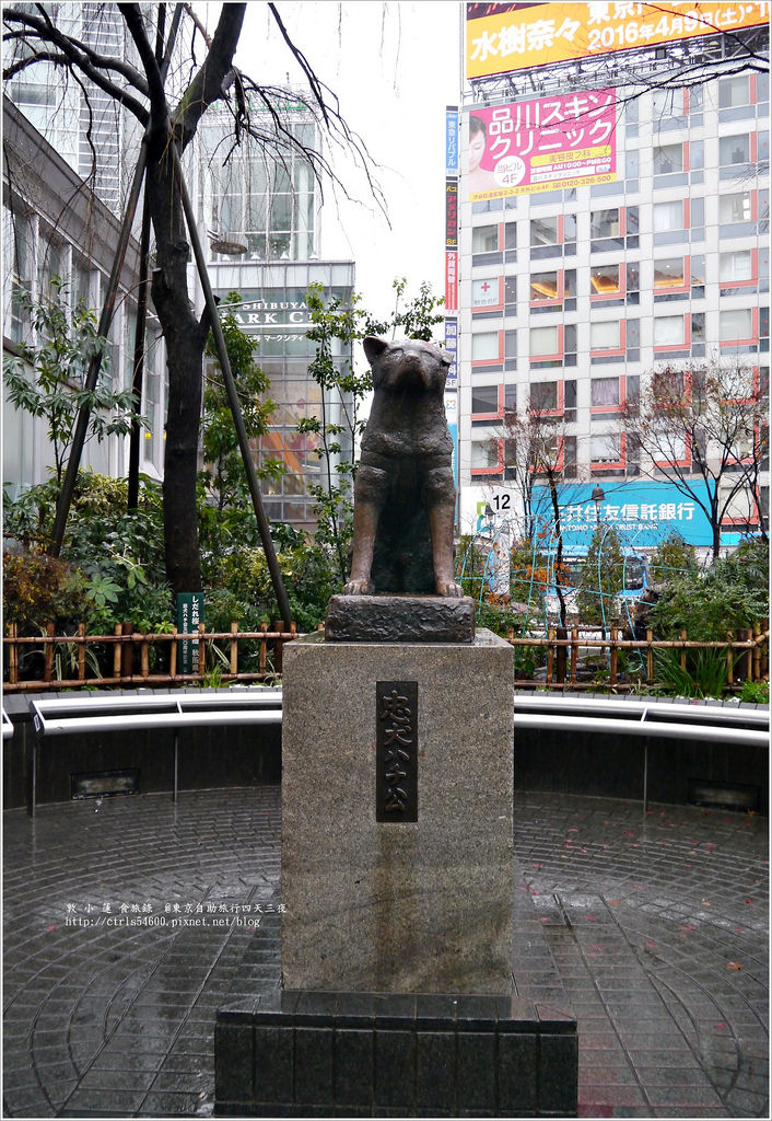 P1270932