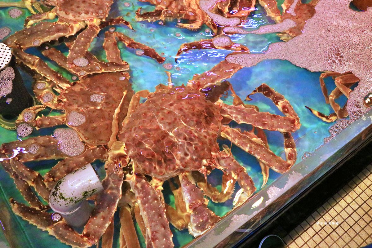 【北海道函館】函館朝市‧海鮮控看這裡,帝王蟹當早餐,滿當當海鮮料理等你逛 - 第30張圖