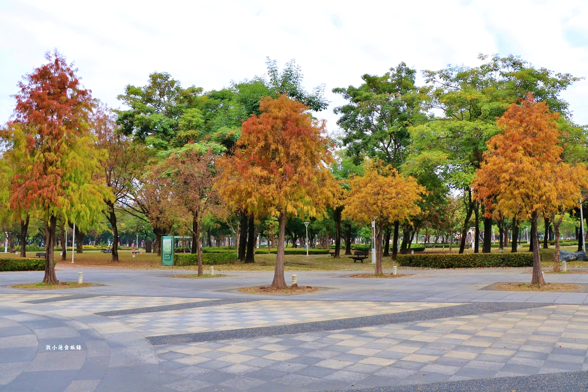 凹子底森林公園‧冬季限定美景落羽松，綠、黃、橘紅色交織，數十種鳥類聚集，捷運凹子底站即到!!