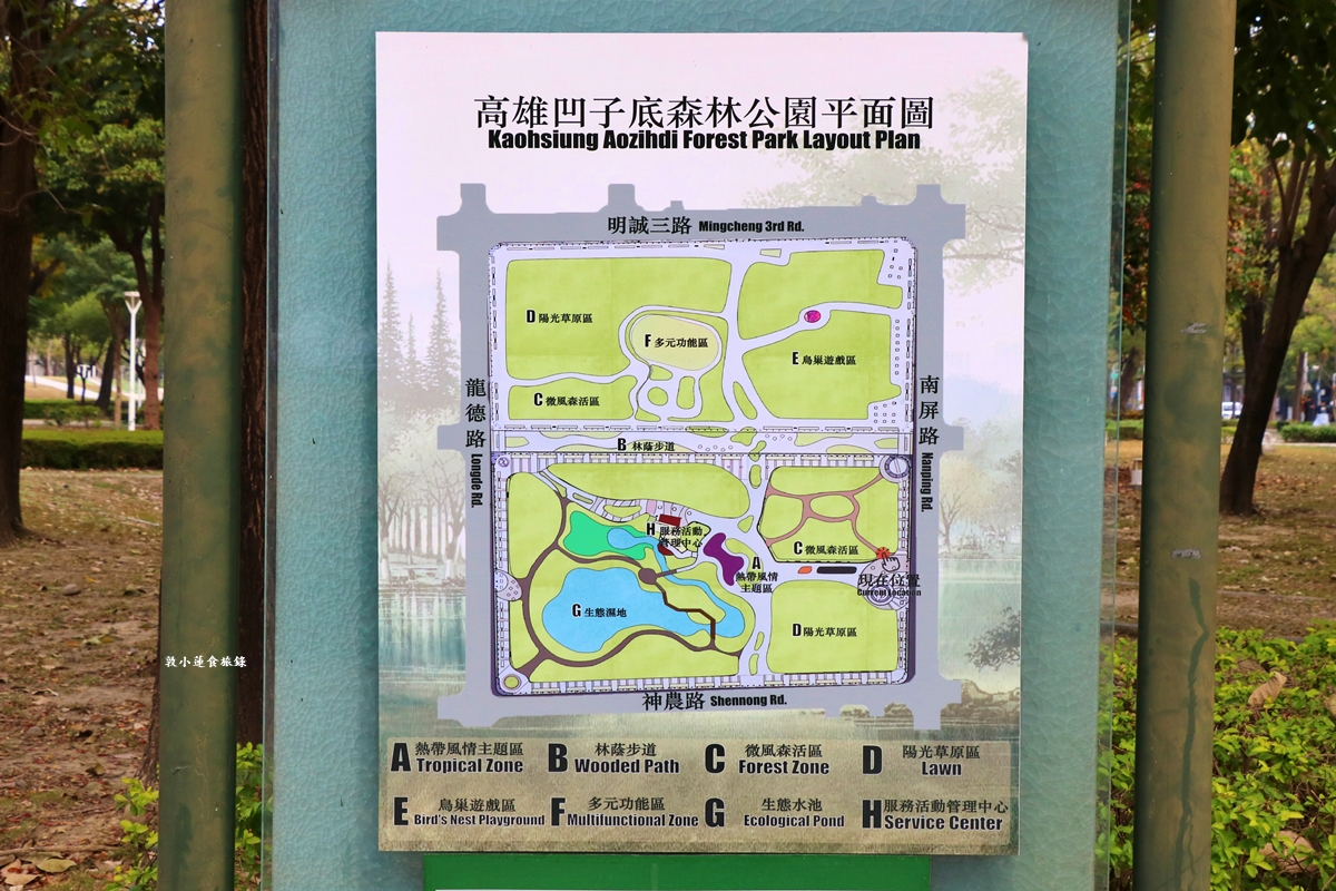 凹子底森林公園‧冬季限定美景落羽松，綠、黃、橘紅色交織，數十種鳥類聚集，捷運凹子底站即到!!