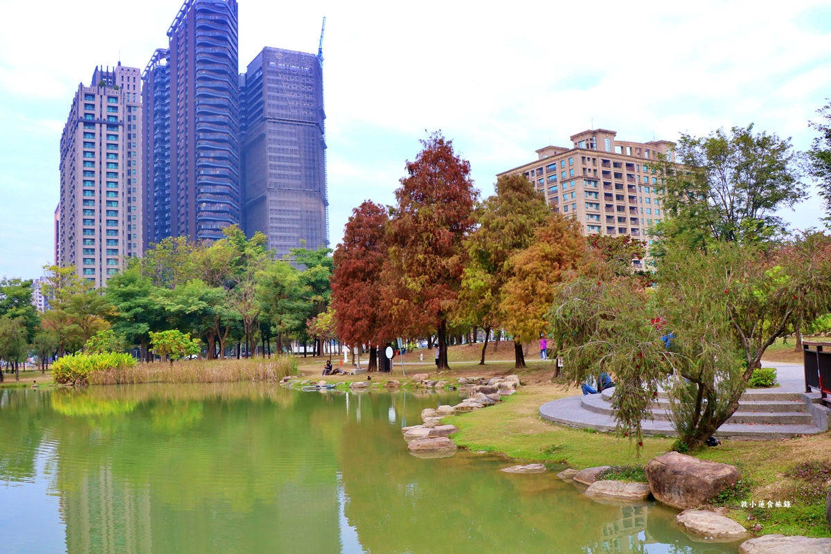 凹子底森林公園‧冬季限定美景落羽松，綠、黃、橘紅色交織，數十種鳥類聚集，捷運凹子底站即到!!