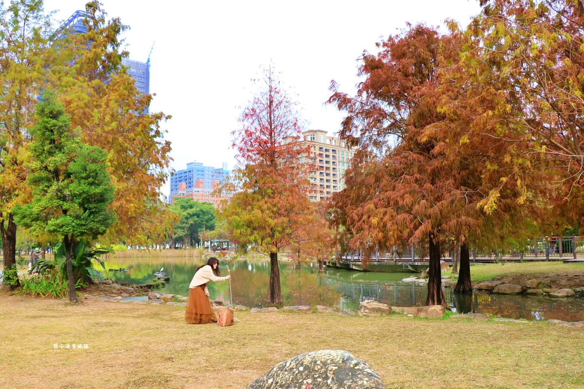 凹子底森林公園‧冬季限定美景落羽松，綠、黃、橘紅色交織，數十種鳥類聚集，捷運凹子底站即到!!
