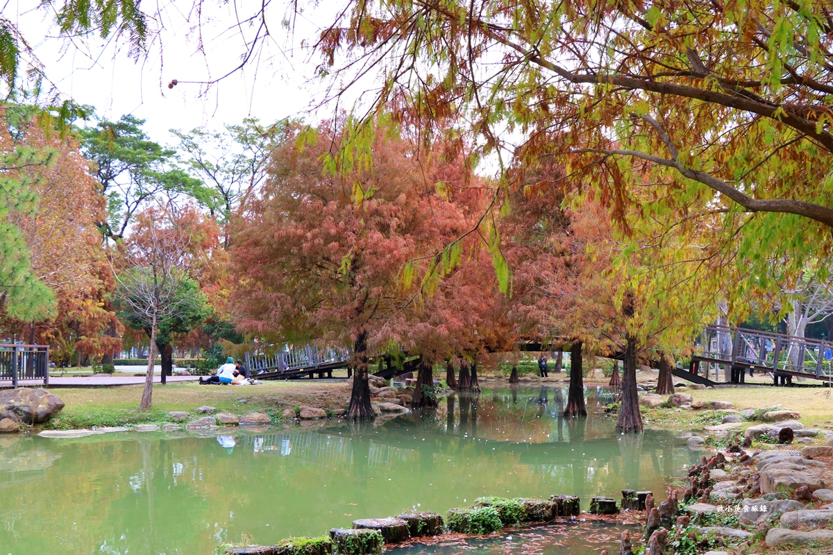 凹子底森林公園‧冬季限定美景落羽松，綠、黃、橘紅色交織，數十種鳥類聚集，捷運凹子底站即到!!