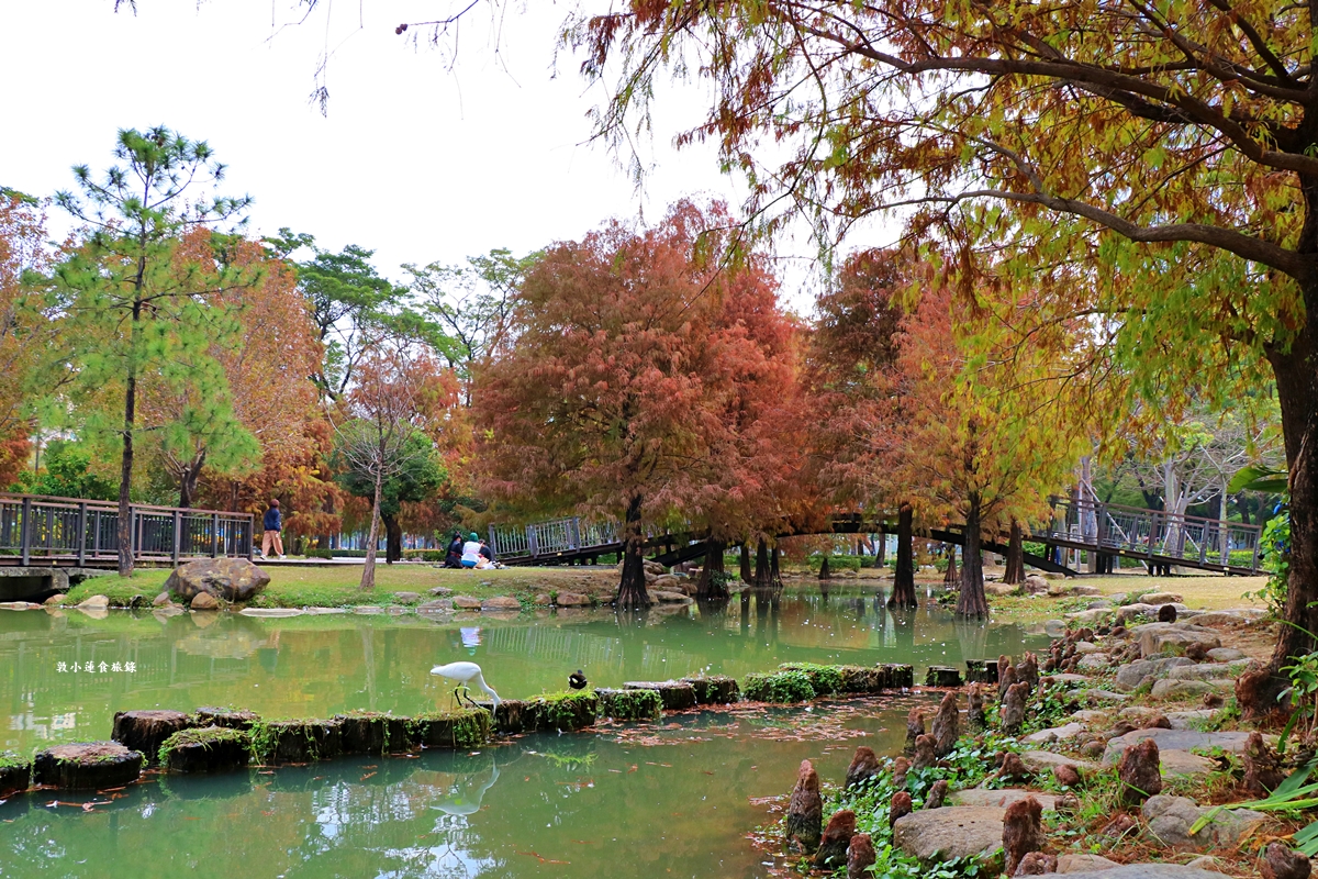 凹子底森林公園‧冬季限定美景落羽松，綠、黃、橘紅色交織，數十種鳥類聚集，捷運凹子底站即到!!