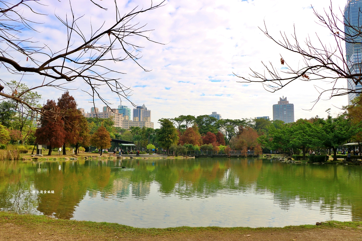 凹子底森林公園‧冬季限定美景落羽松，綠、黃、橘紅色交織，數十種鳥類聚集，捷運凹子底站即到!!