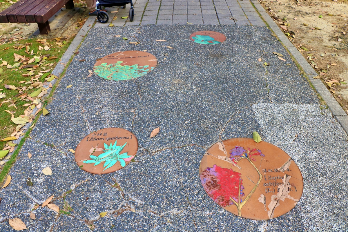 凹子底森林公園‧冬季限定美景落羽松，綠、黃、橘紅色交織，數十種鳥類聚集，捷運凹子底站即到!!