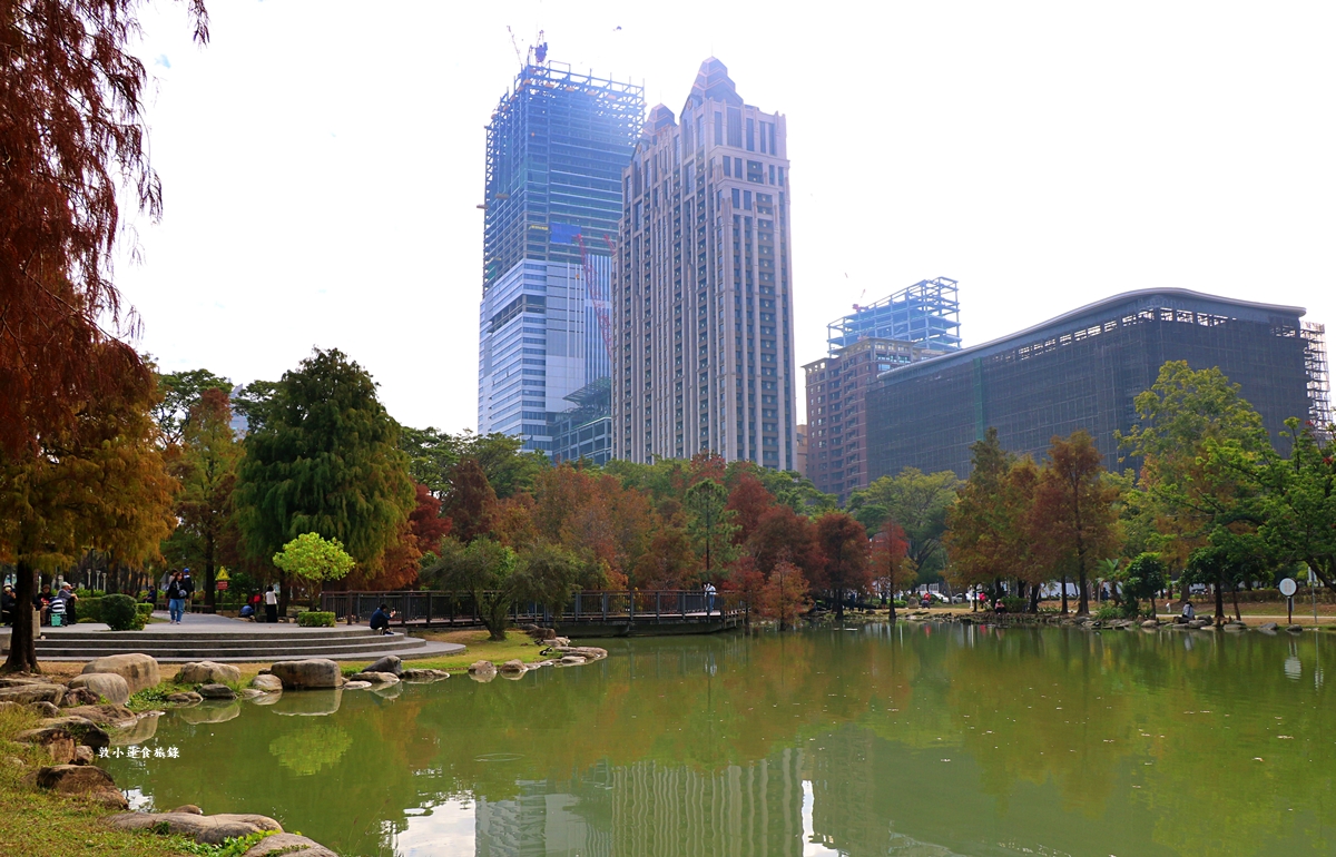 凹子底森林公園‧冬季限定美景落羽松，綠、黃、橘紅色交織，數十種鳥類聚集，捷運凹子底站即到!!