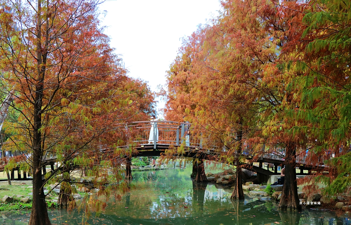 凹子底森林公園‧冬季限定美景落羽松，綠、黃、橘紅色交織，數十種鳥類聚集，捷運凹子底站即到!!
